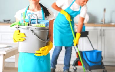 Impresa Professionale Di Pulizie Terricciola